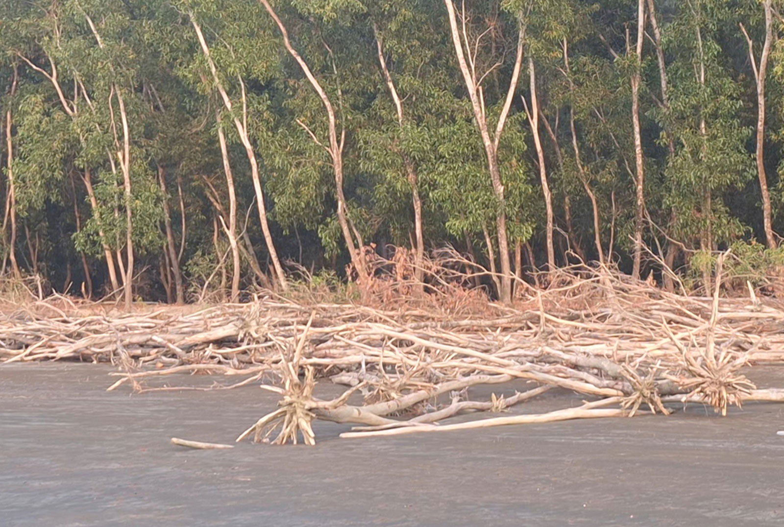 ভাঙনে বিলীন হচ্ছে বরগুনার শুভসন্ধ্যা সৈকত