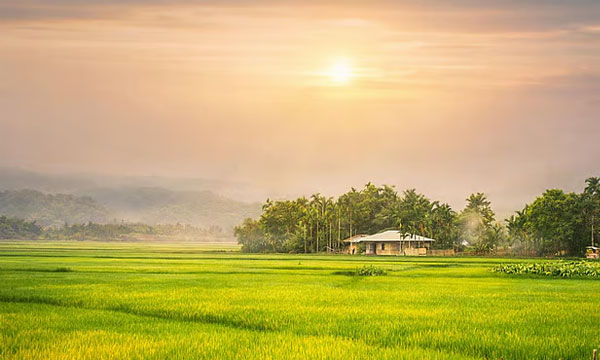 খাগড়াছড়ির দীঘিনালায় বেড়াতে গেলে মিস করবেন না এই সড়ক