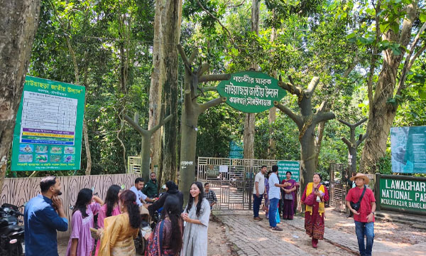 পর্যটক কমে স্বস্তিতে লাউয়াছড়ার বন্যপ্রাণী