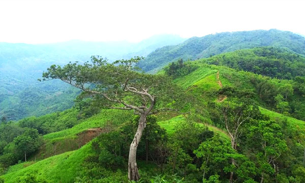 মেঘ-জঙ্গল আর রোমাঞ্চের ঠিকানা কির্সতং পাহাড়