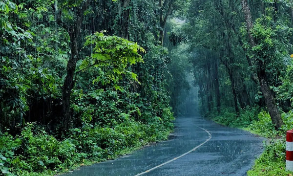 বর্ষায় বৃষ্টিভেজা গারো পাহাড়, প্রকৃতিপ্রেমীদের জন্য অন্যরকম গন্তব্য