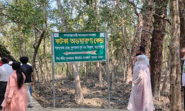 নেটওয়ার্কহীন সুন্দরবনে যোগাযোগ সংকটে পর্যটকরা