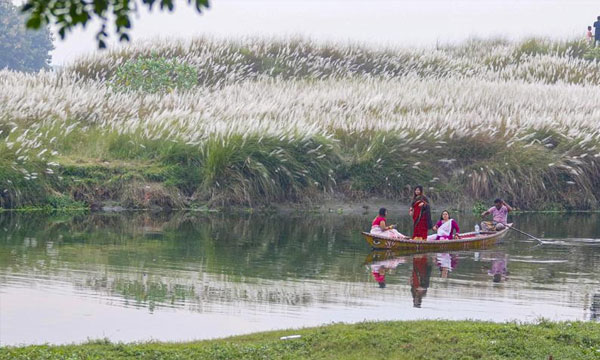 সামাজিক যোগাযোগমাধ্যমে ভাইরাল বাকঁখালীর কাশবন