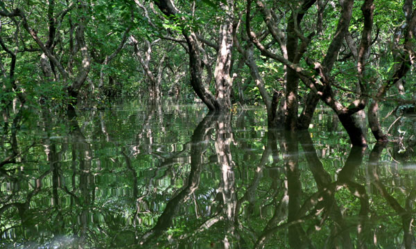 ছুটির দিনে ভিড় এড়িয়ে ঘুরবেন যেভাবে