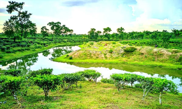 মৌলভীবাজারের সবুজের মাঝে নীরব সৌন্দর্যের লেক