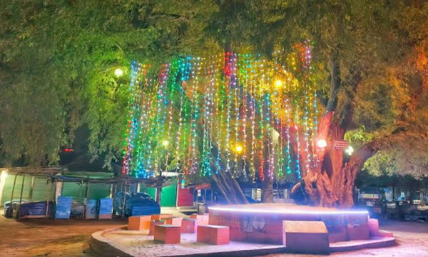 কাঞ্চনজঙ্ঘা দেখা না গেলেও জমজমাট তেঁতুলিয়ার পর্যটন