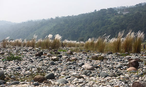 পাথর আর কাশফুলে শরতের নতুন রূপ জাফলংয়ের