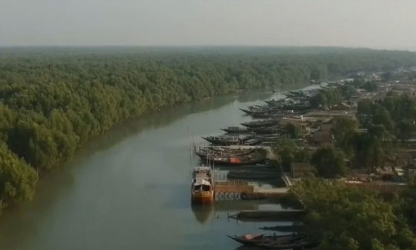 সুন্দরবন ভ্রমণে দুবলার চর কেন রাখবেন তালিকায়
