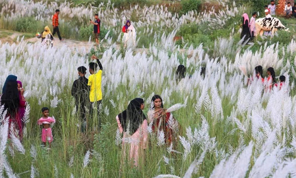 সিরাজগঞ্জের চায়না বাঁধ: যমুনার বুকে প্রকৃতি, সেতু ও ভ্রমণের হাতছানি