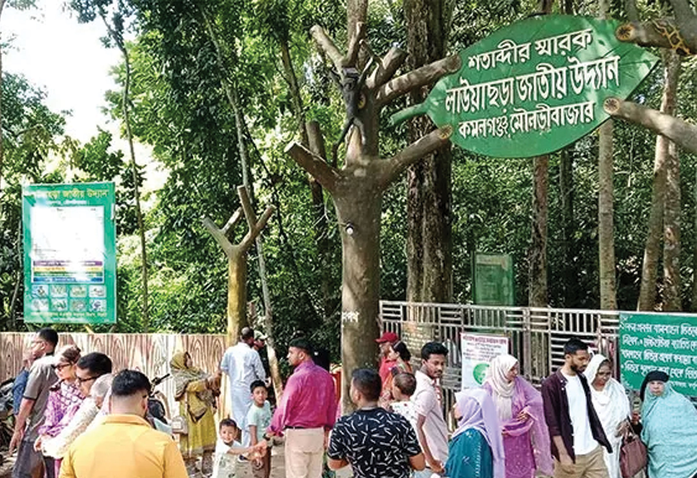 পূজার ছুটিতে লাউয়াছড়ায় পর্যটকের ঢল, জমজমাট মৌলভীবাজার