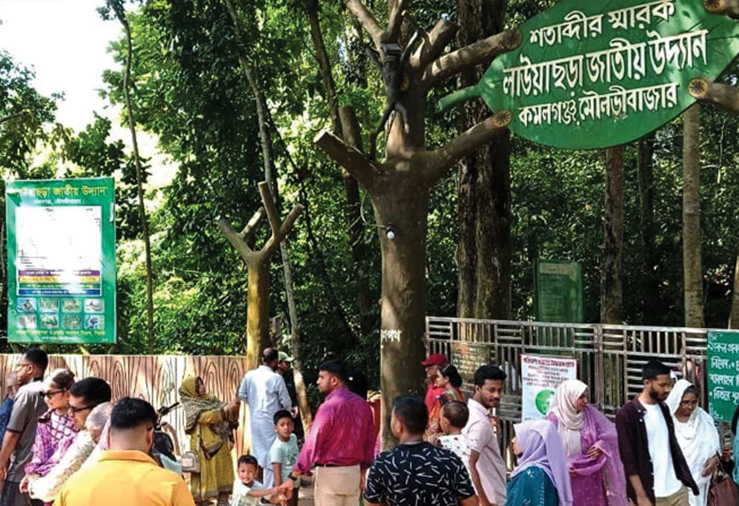 পূজার ছুটিতে পর্যটকে মুখর শ্রীমঙ্গল ও কমলগঞ্জ