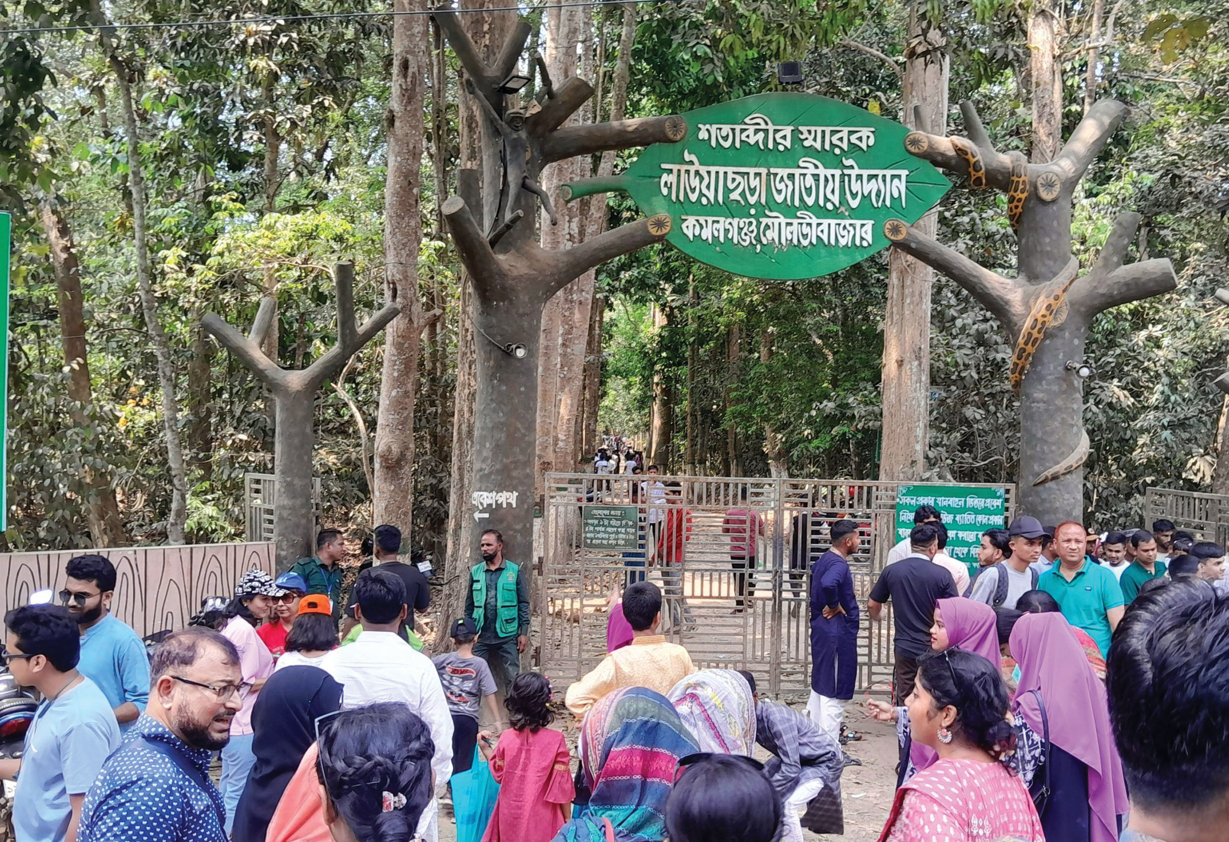লাউয়াছড়ায় ৪ দিনে রাজস্ব সাড়ে ৫ লাখ টাকা