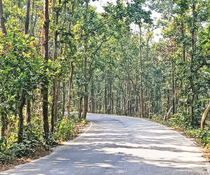 গাজীপুরের ভাইরাল সড়ক এখন ভ্রমণপিপাসুদের আকর্ষণ
