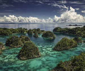 ইন্দোনেশিয়ার অনলাইন ভ্রমণ বাজার: ১৭ বিলিয়ন ডলারে পৌঁছানোর সম্ভাবনা