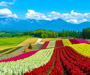 হোক্কাইডো: গ্রীষ্মকালীন অ্যাডভেঞ্চারের গন্তব্য ও বিলাসবহুল রিসোর্টের নতুন যুগ