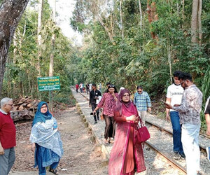 পর্যটকের হইচইয়ে নীরবতা হারাচ্ছে লাউয়াছড়া