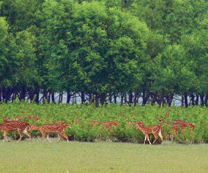 বেড়িয়ে আসুন হাতিয়া দ্বীপ