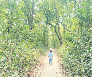 দিনাজপুরের সিংড়া বন শান্তির সবুজ ঠিকানা