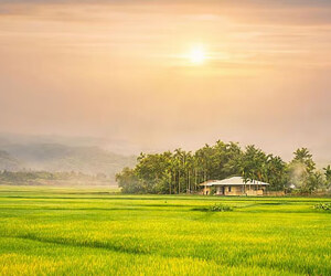 খাগড়াছড়ির দীঘিনালায় বেড়াতে গেলে মিস করবেন না এই সড়ক