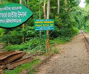 সংকটের মুখে লাউয়াছড়া জাতীয় উদ্যান, নিয়ন্ত্রণহীনতা বাড়াচ্ছে ঝুঁকি