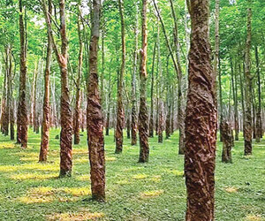 ঢাকার কাছে ব্যতিক্রমী ভ্রমণ গন্তব্য সন্তোষপুর