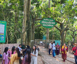 পর্যটক কমে স্বস্তিতে লাউয়াছড়ার বন্যপ্রাণী
