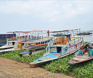 পানি নেই, পর্যটকেরও দেখা নেই নিকলী হাওড়ে