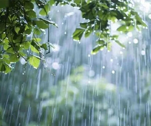 দেশের বিভিন্ন অঞ্চলে বৃষ্টির পূর্বাভাস, ভারী বর্ষণ হতে পারে তিন বিভাগে