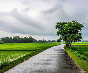 ভ্যাপসা গরমের মধ্যেই চার বিভাগে বৃষ্টির আভাস