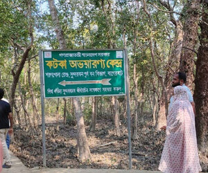 নেটওয়ার্কহীন সুন্দরবনে যোগাযোগ সংকটে পর্যটকরা