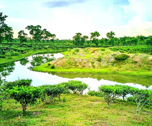 মৌলভীবাজারের সবুজের মাঝে নীরব সৌন্দর্যের লেক