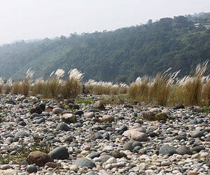 পাথর আর কাশফুলে শরতের নতুন রূপ জাফলংয়ের