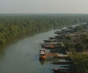 সুন্দরবন ভ্রমণে দুবলার চর কেন রাখবেন তালিকায়