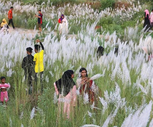 সিরাজগঞ্জের চায়না বাঁধ: যমুনার বুকে প্রকৃতি, সেতু ও ভ্রমণের হাতছানি