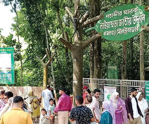 পূজার ছুটিতে লাউয়াছড়ায় পর্যটকের ঢল, জমজমাট মৌলভীবাজার