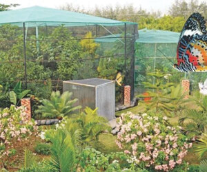চট্টগ্রামের প্রজাপতি পার্কে কী কী দেখার আছে?