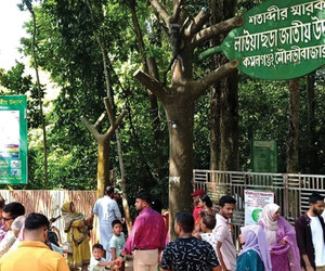 পূজার ছুটিতে পর্যটকে মুখর শ্রীমঙ্গল ও কমলগঞ্জ