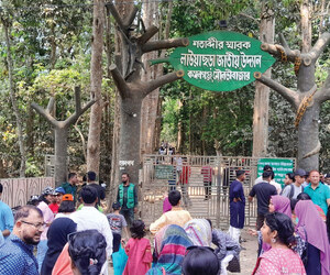 লাউয়াছড়ায় ৪ দিনে রাজস্ব সাড়ে ৫ লাখ টাকা
